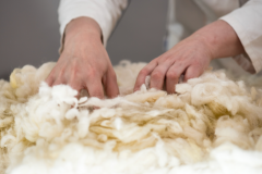 Matelas tapissier en crin animal et laine de mouton