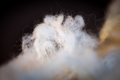 La laine de mouton, une fibre naturelle aux propriétés multiples